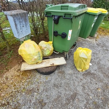 Cistilna akcija 2026 (7)